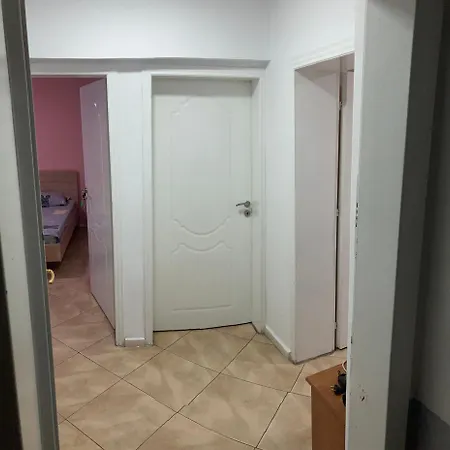 Проживание в семье Level 2 Spot Тирана